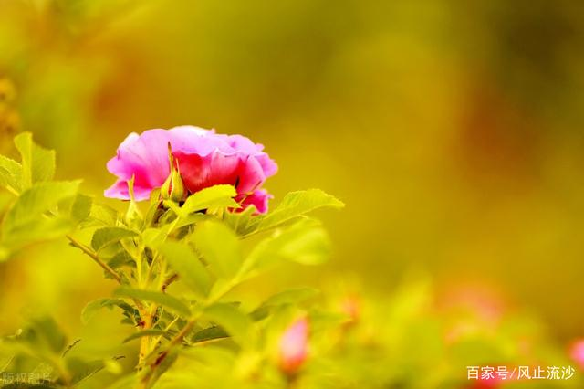 40句经典句子，值得收藏_WWW.QQKJ.CN