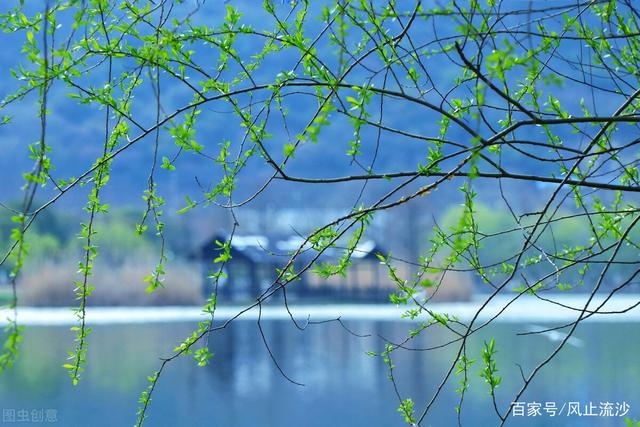 40句经典句子，值得收藏_WWW.QQKJ.CN